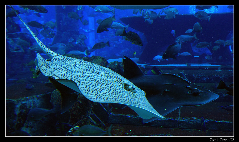 2012 - 06 - Dubai - 047